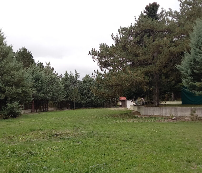 Κατασκήνωση 22/8 έως 29/8 - Πλατό #2 Άγιος Ιωάννης & Πλατό #3 Μεταμόρφωση